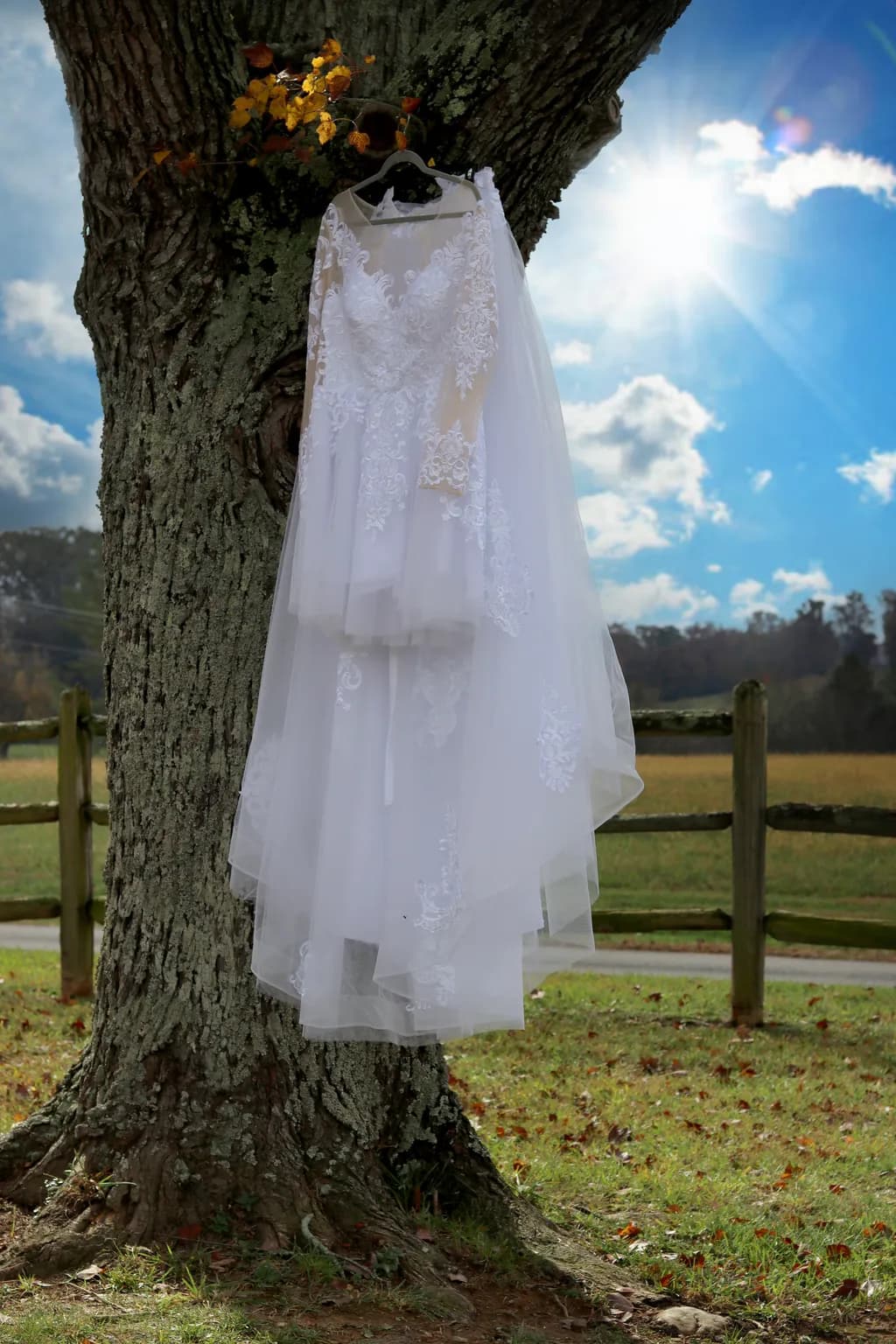 Bridal Reverie