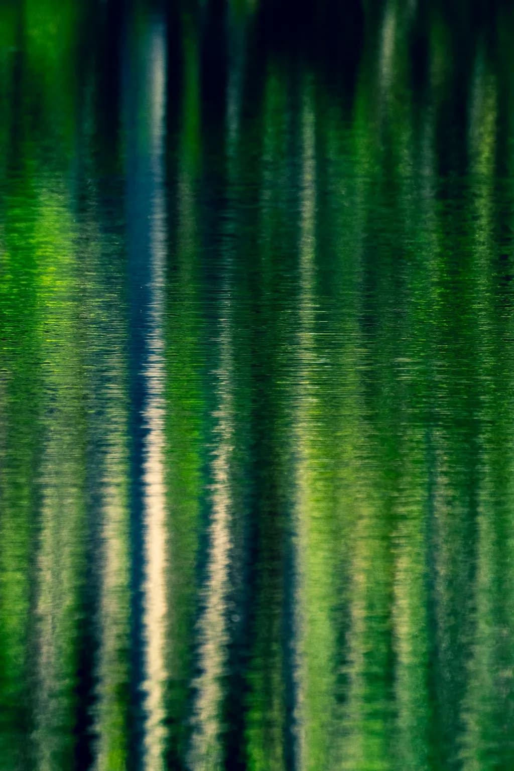 Reflective Dream