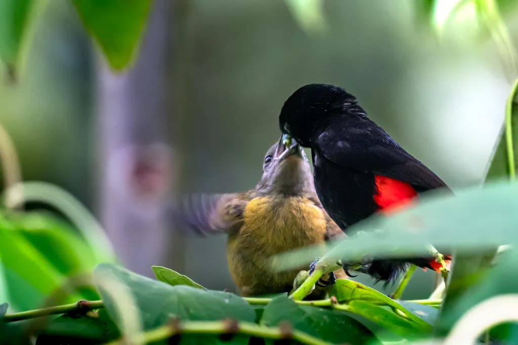 Feeding Moment