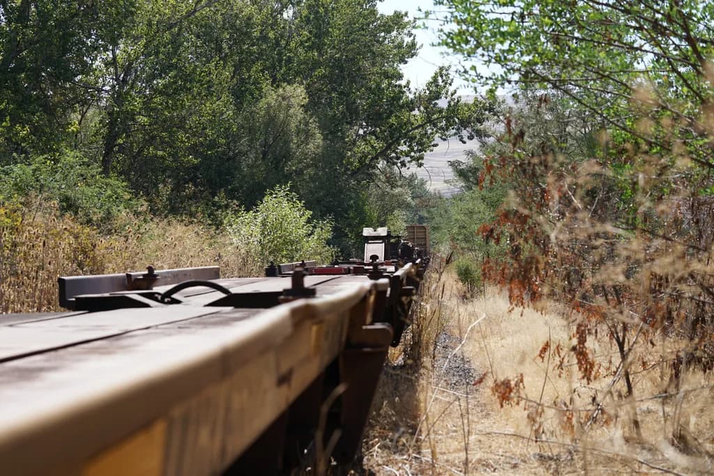 Forgotten Tracks
