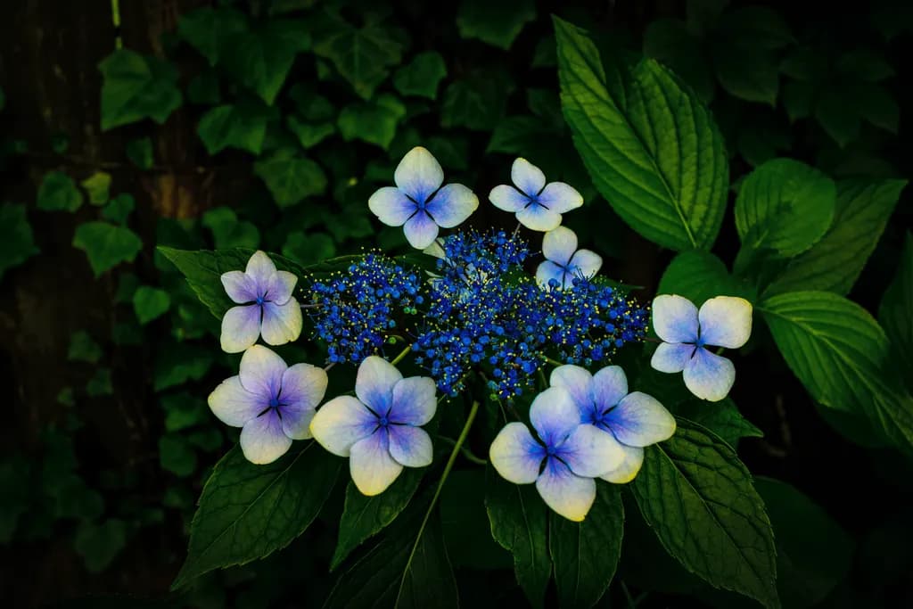 Whispers of Nature: A Botanical Symphony in Blue and Green Petals