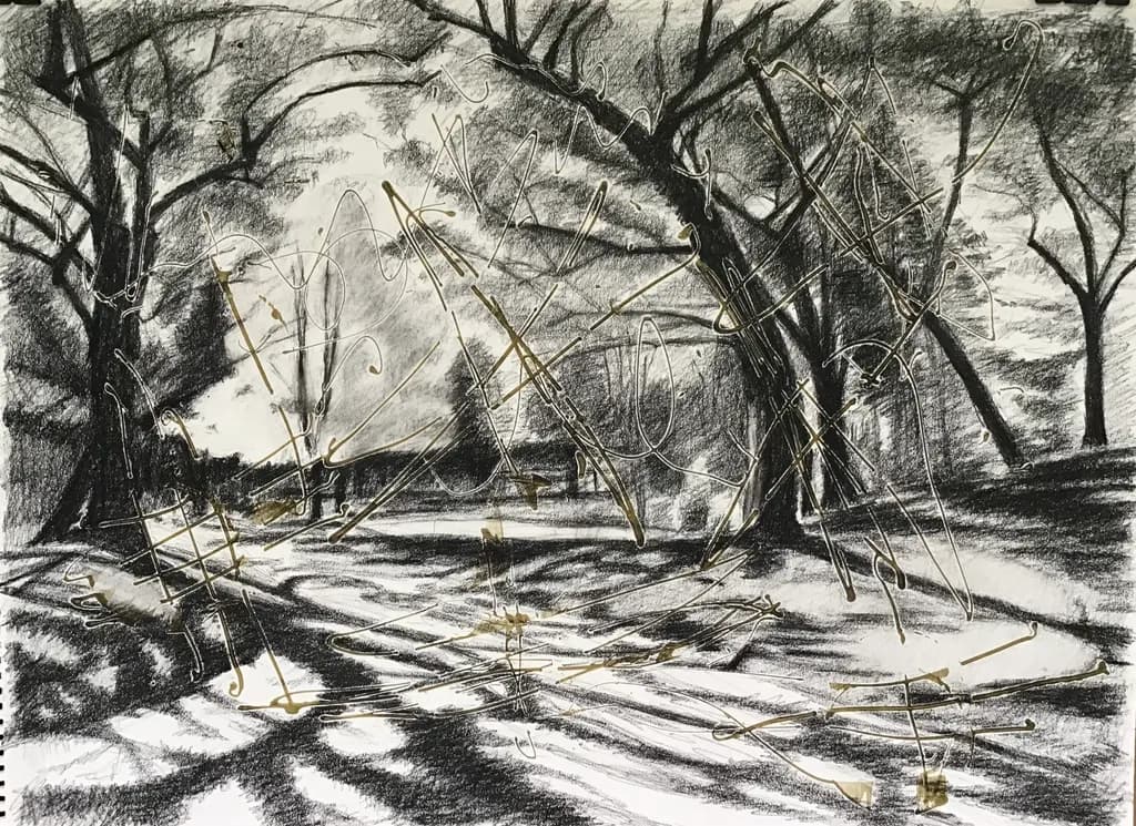 Forest Shadows