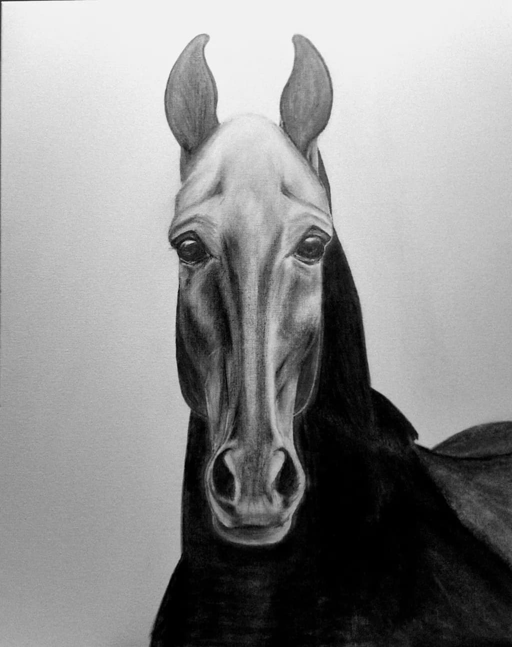 Majestic Equine