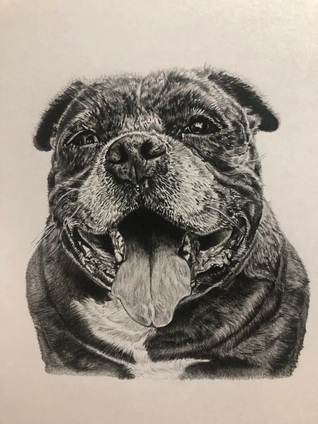 Whiskers and Wags: A Heartfelt Portrait of Canine Charm