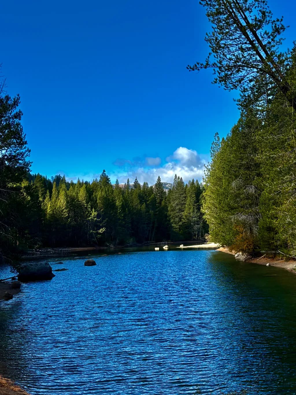 Serenity by the Water: A Tranquil Reflection of Nature's Beauty
