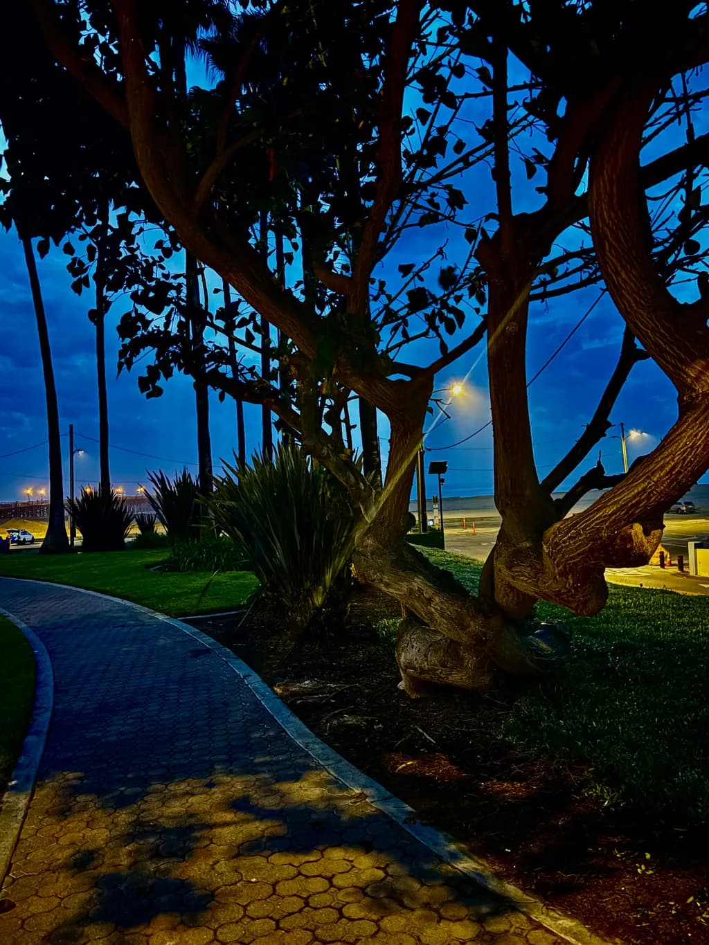 Twilight Pathway