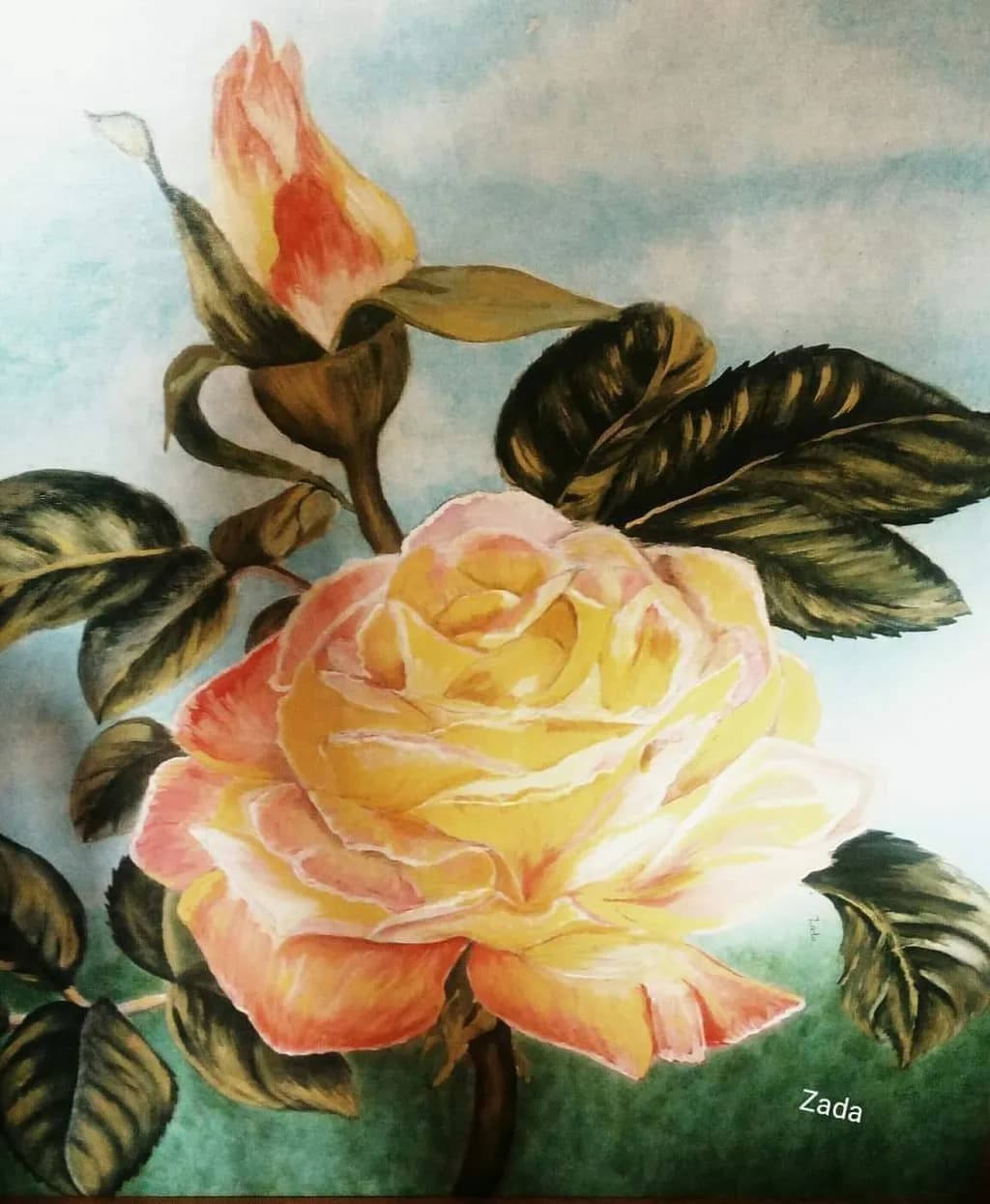Rose