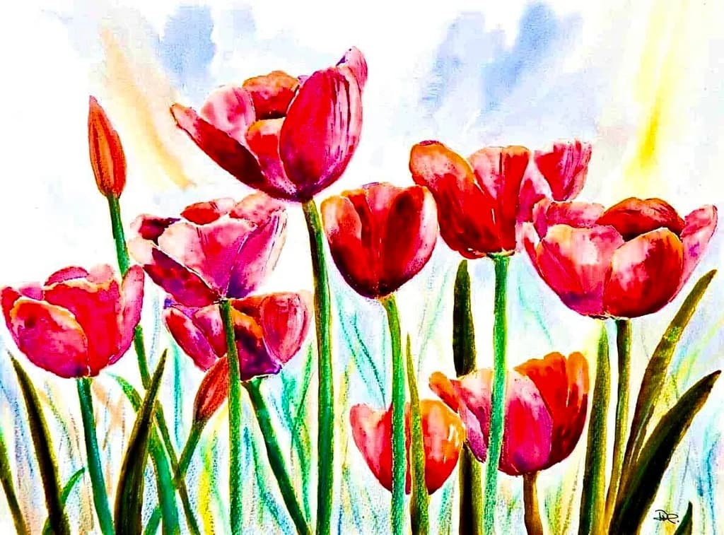 Tulips in the Sun