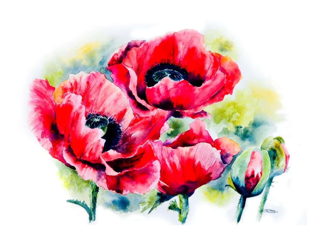 Three Poppies