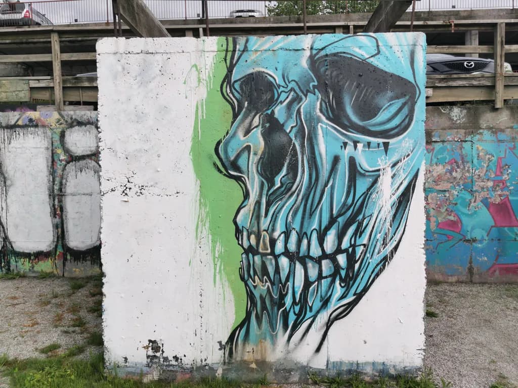 Fragmented Skull