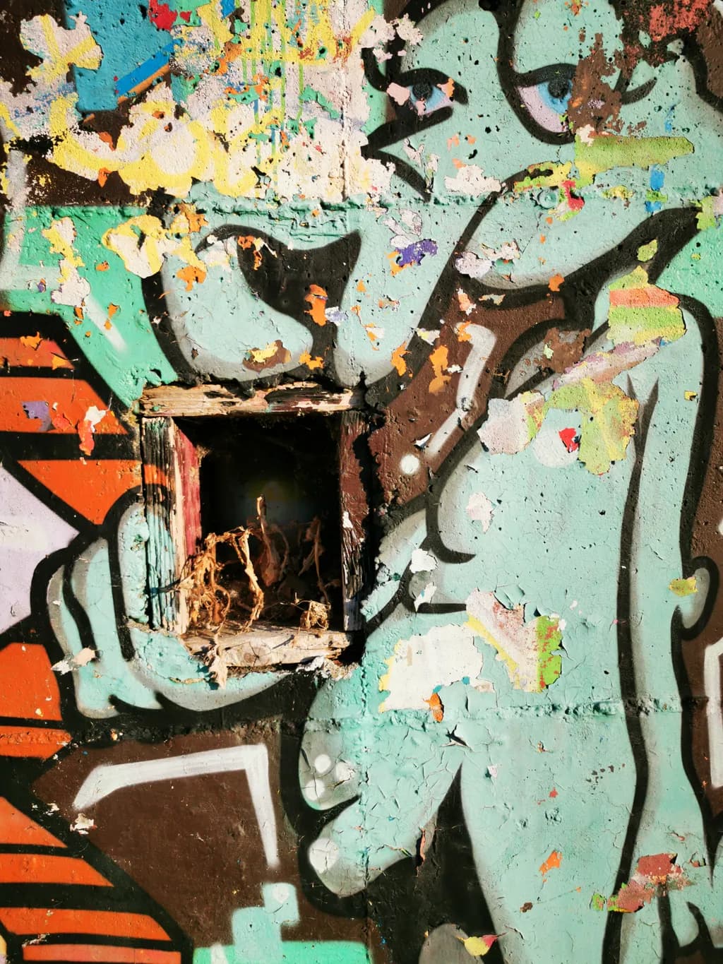 Fragmented Figure
