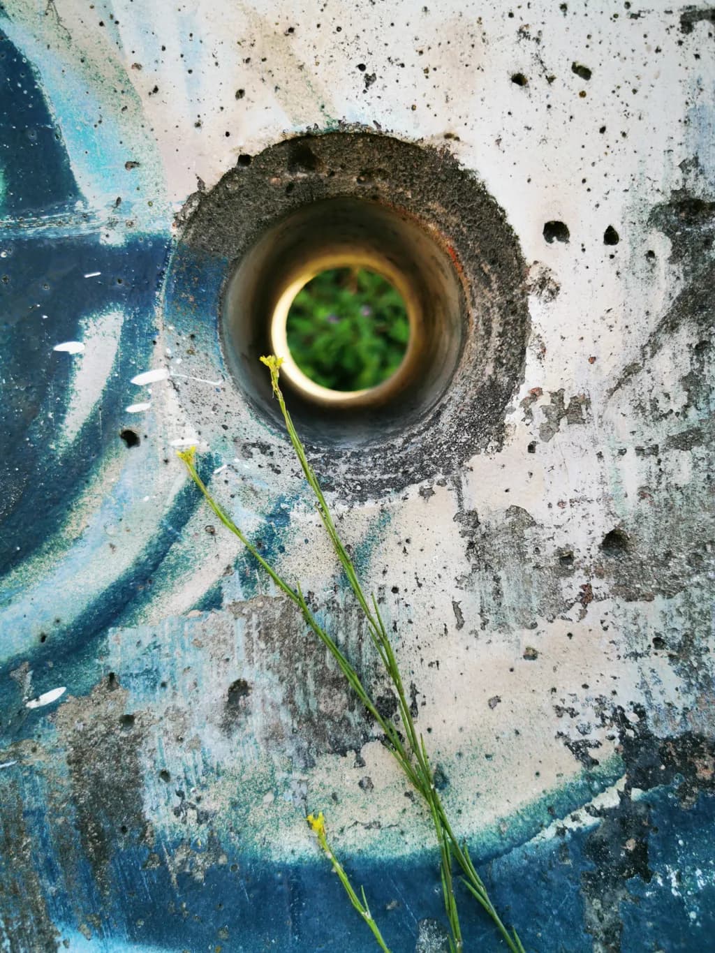 Concrete Portal