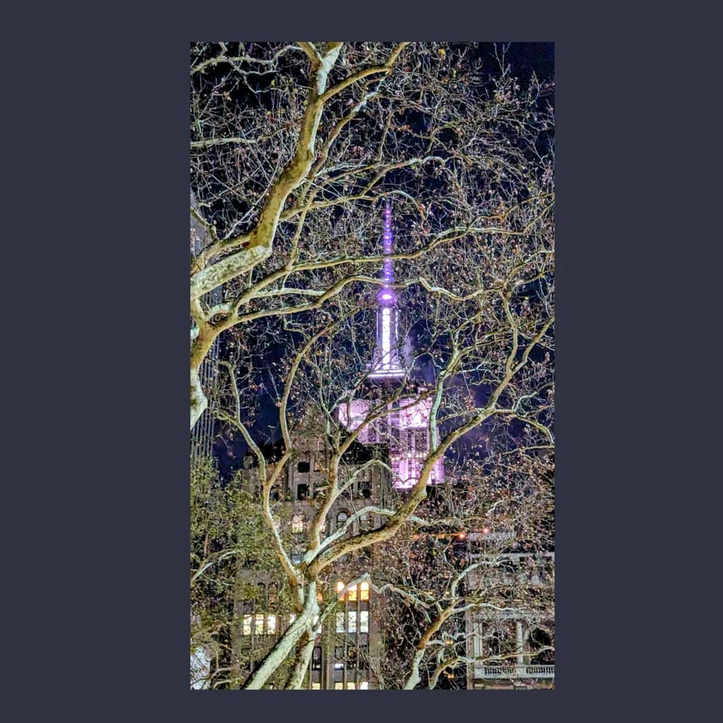 Urban Nightscape: Illuminated Skyline Framed by Whispering Trees