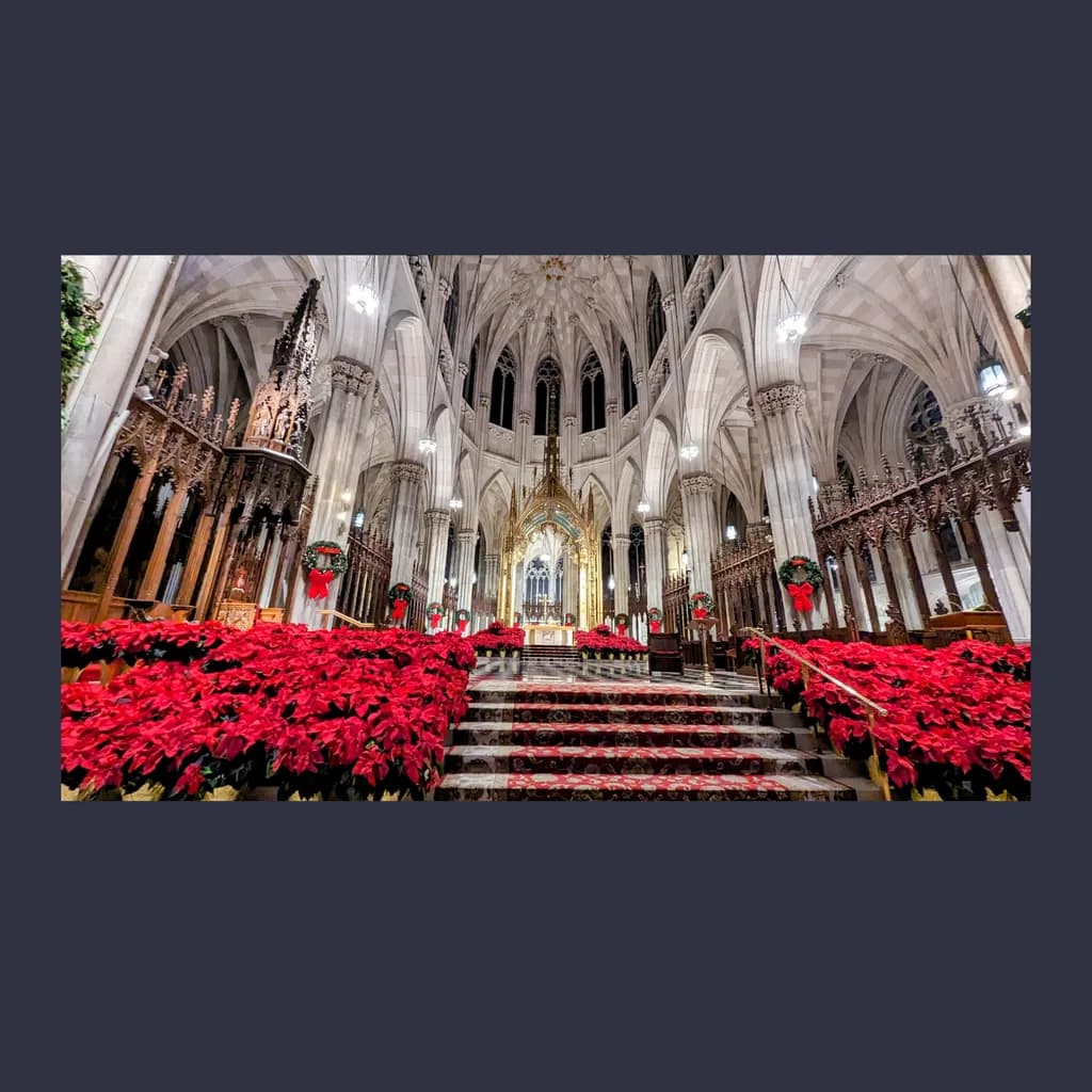 Majestic Serenity: A Christmas Celebration in the Heart of the Cathedral