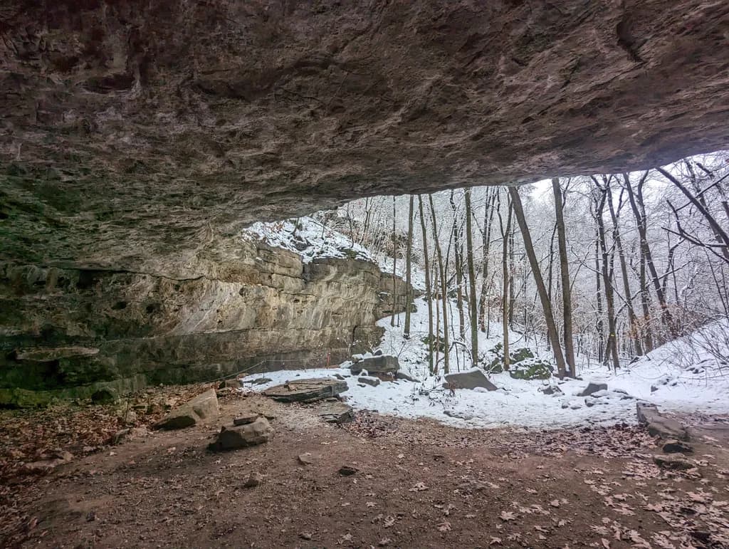 Whispers of Winter: A Serene Cave View Amidst Snow-Covered Trees