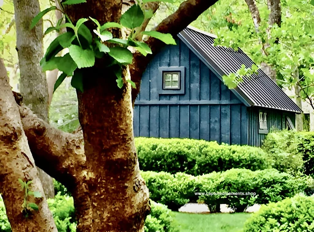 Whispers of Nature: A Cozy Retreat Amidst Lush Greenery