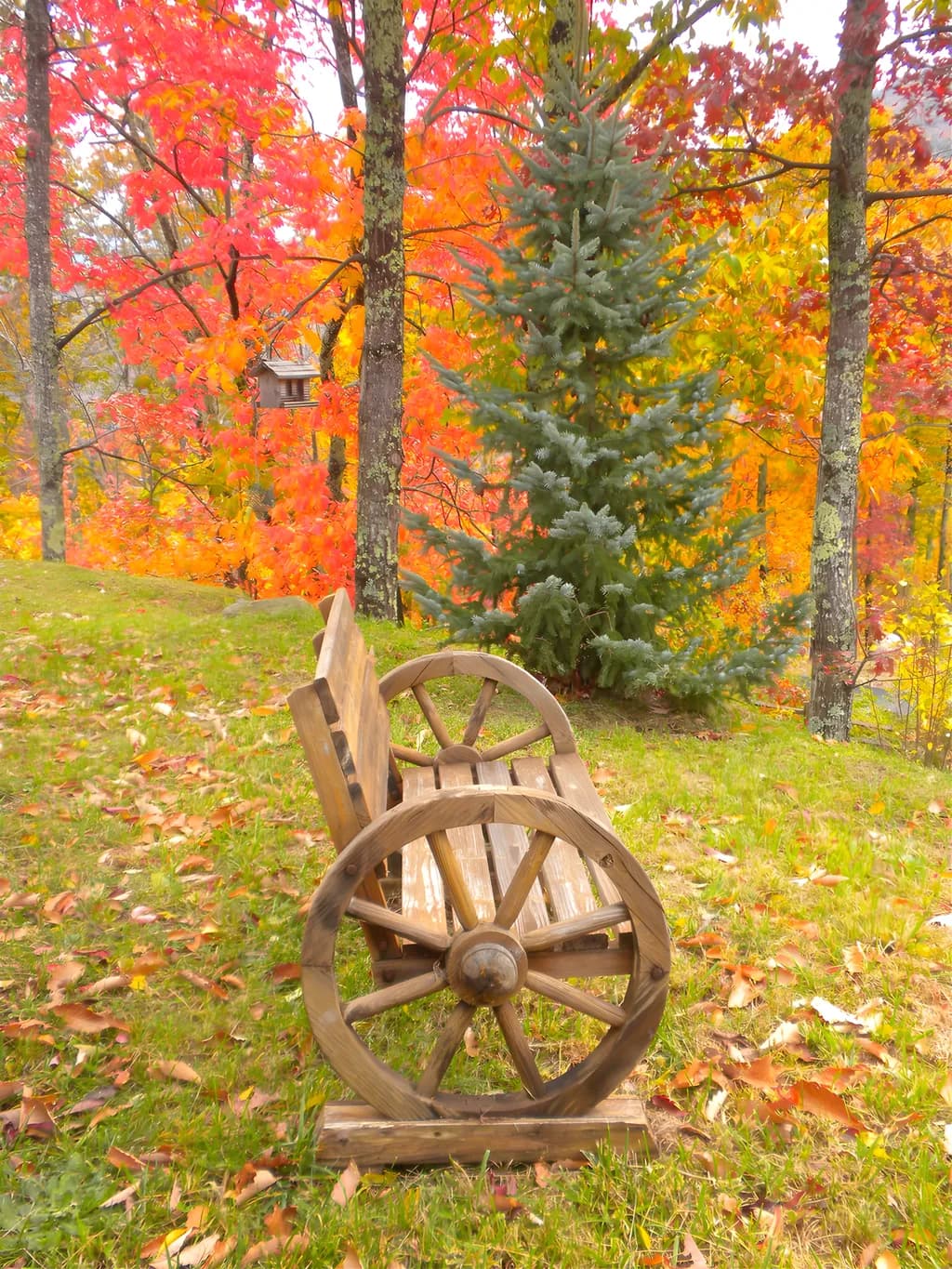 Autumn Serenity: A Cozy Retreat Amidst Vibrant Fall Foliage