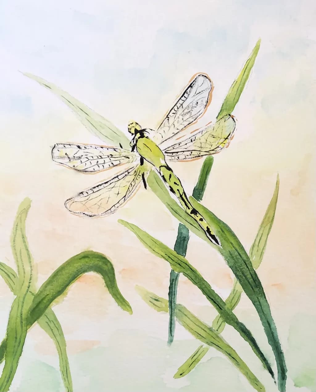 Dragonfly Dance
