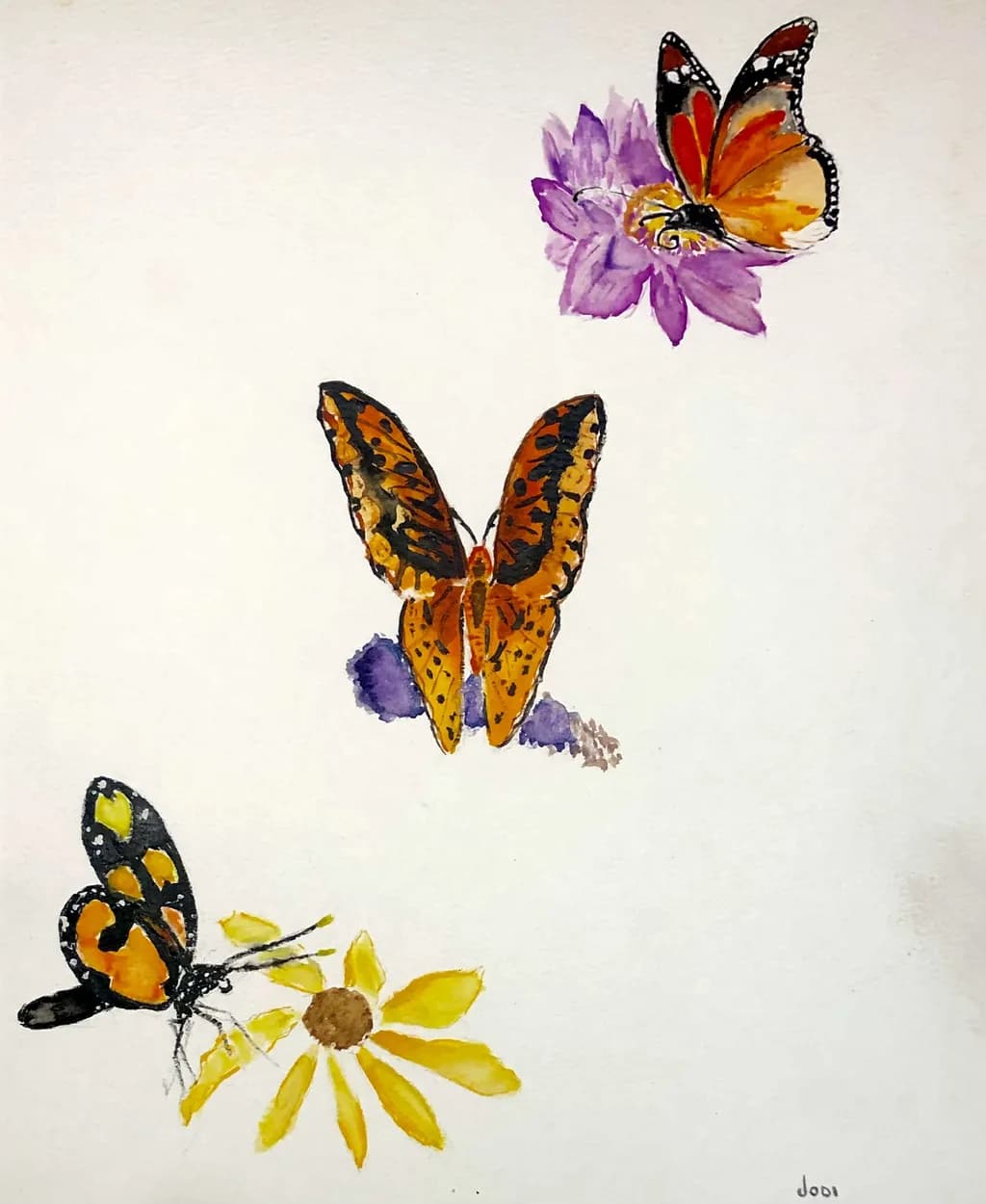 Butterfly Blooms