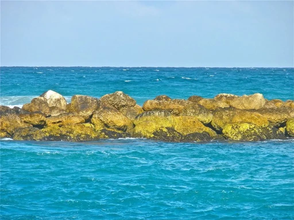 Coastal Resilience