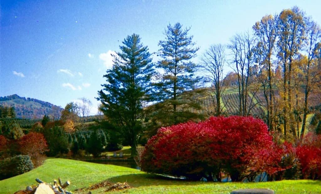 Autumn Serenity