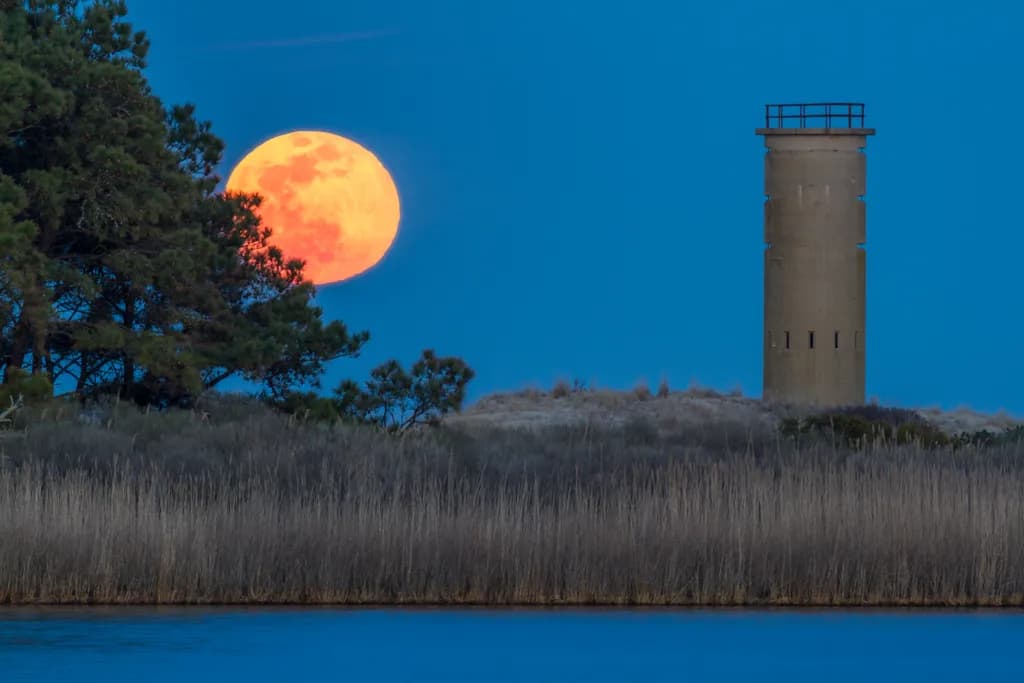 Shy Moon
