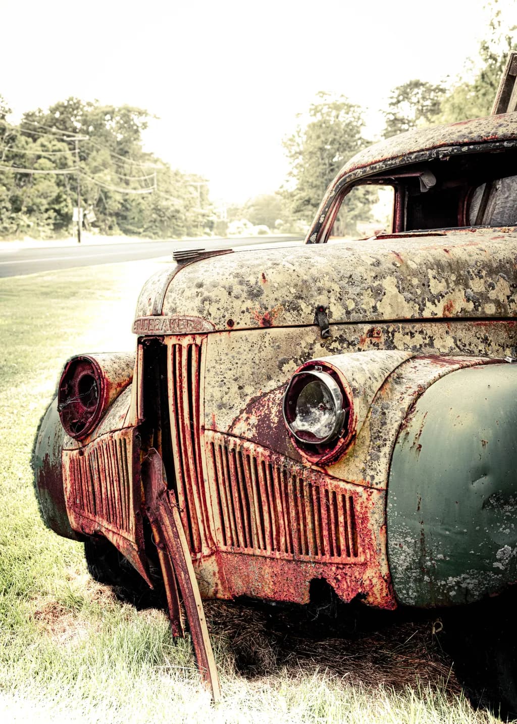 Forgotten Beauty: The Rusting Elegance of a Vintage Automobile in Nature's Embrace