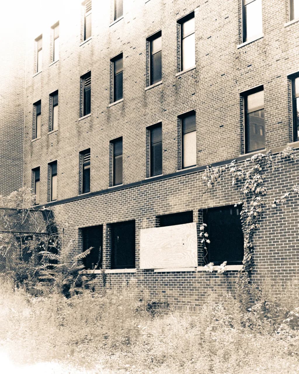 Whispers of Abandonment: A Forgotten Facade in Sepia Tones