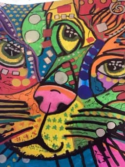 Cat Chaos