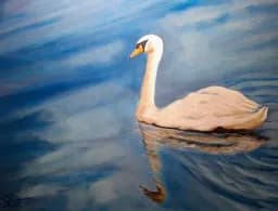 Drifting Grace