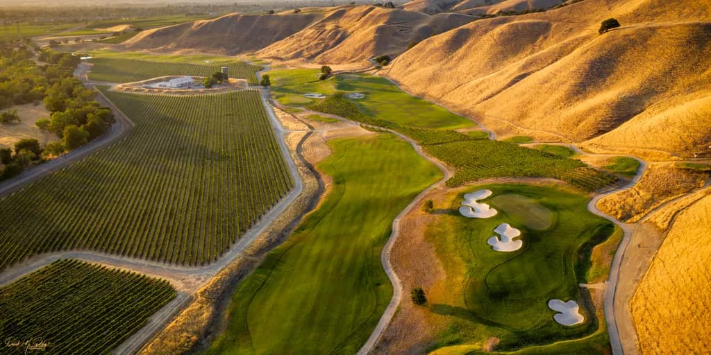 Framed by Vines Golf Course
