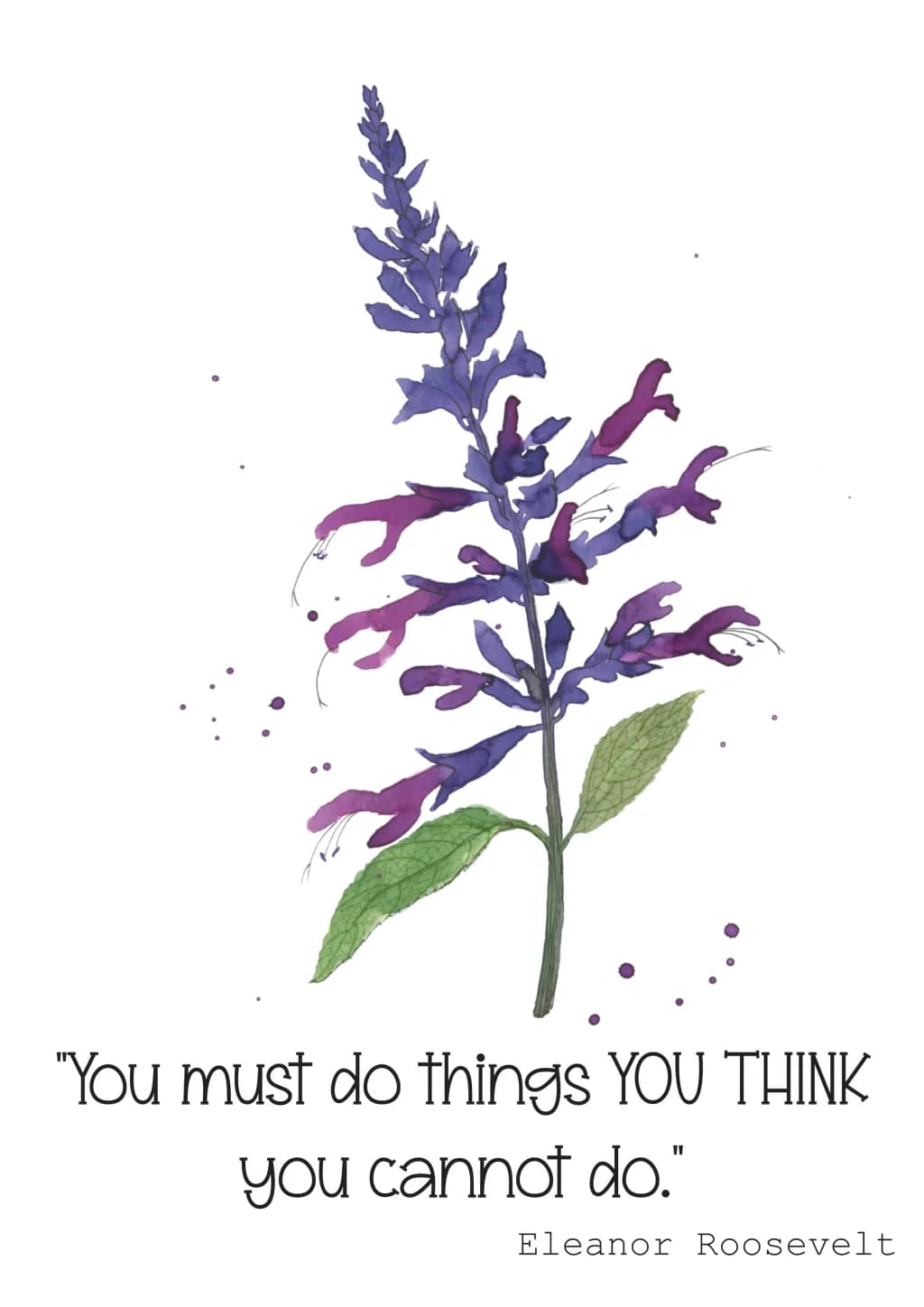Salvia Inspiration