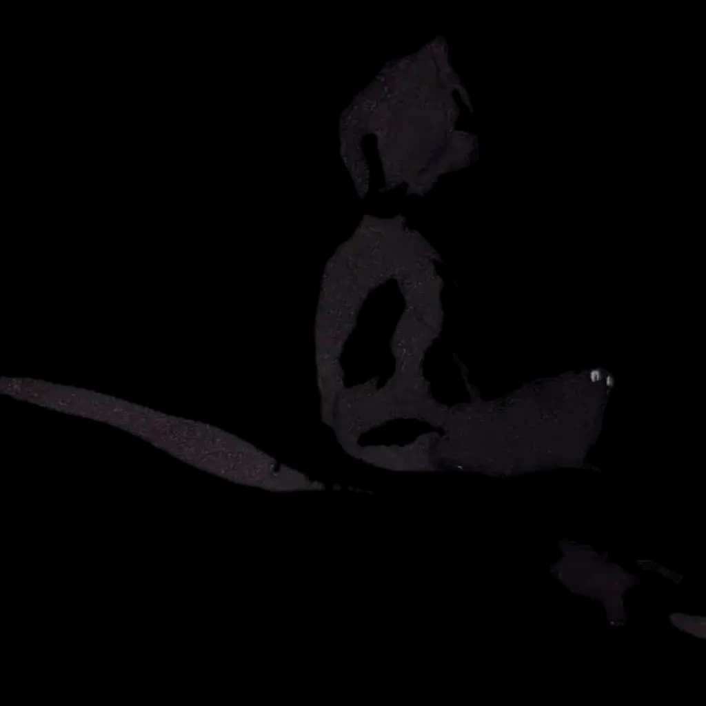 Whispers of Shadow: A Playful Cat's Contemplation in the Dark