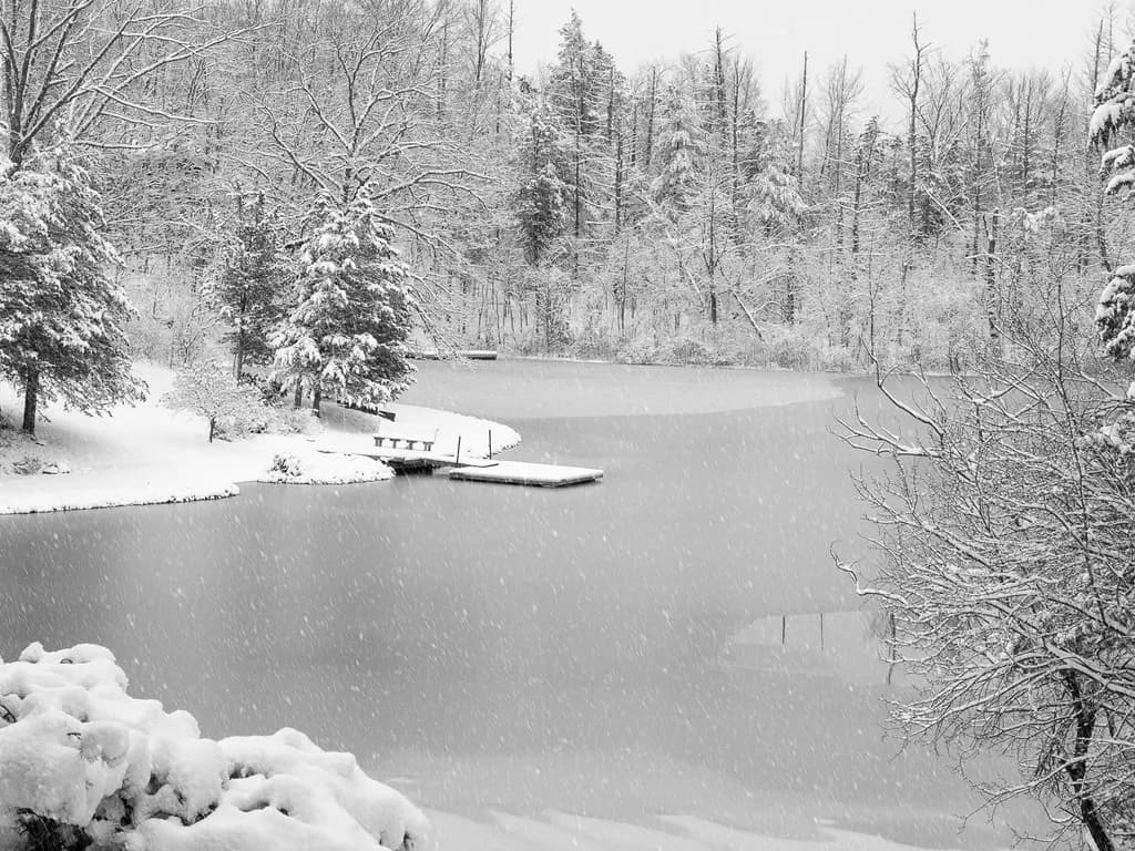 Whispers of Winter: A Serene Reflection in Snowy Silence