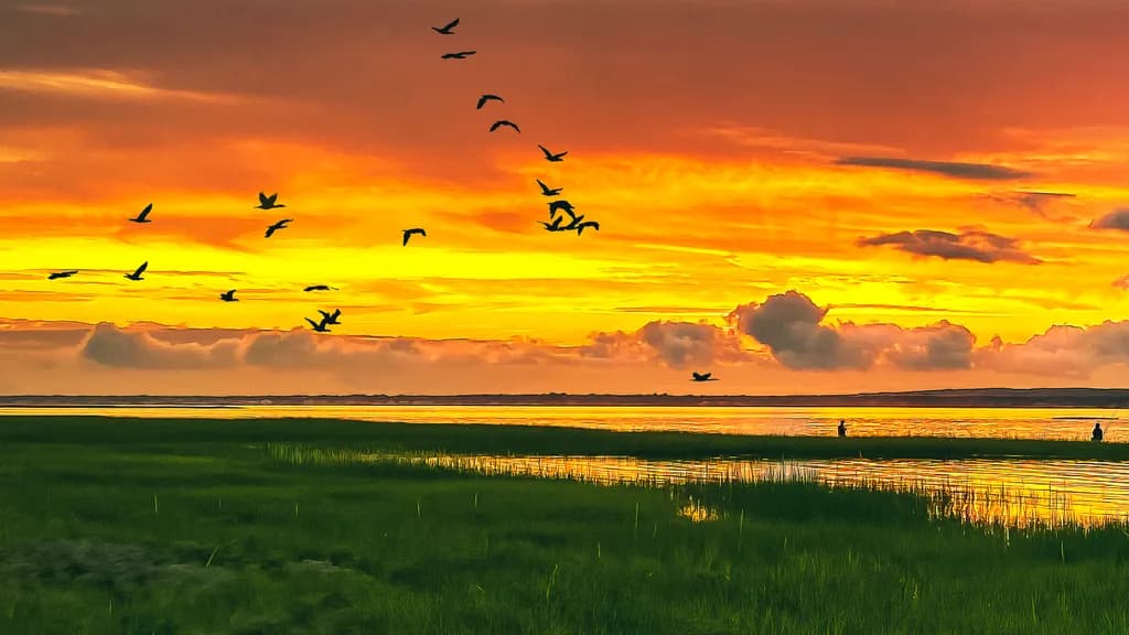 Golden Horizon