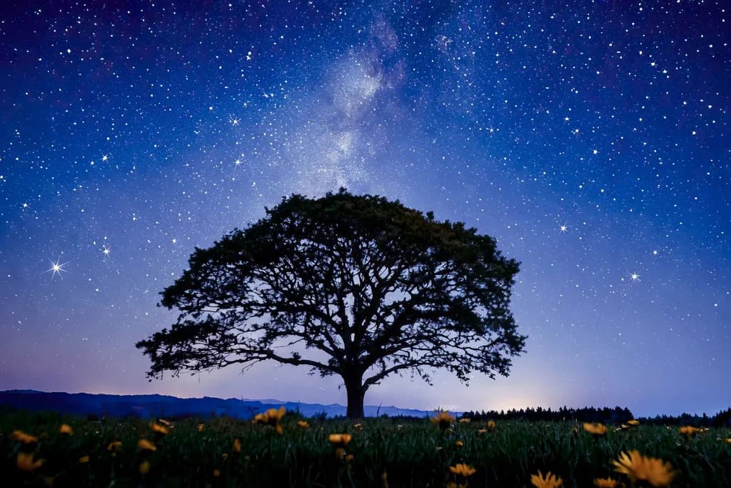 Starlit Oak