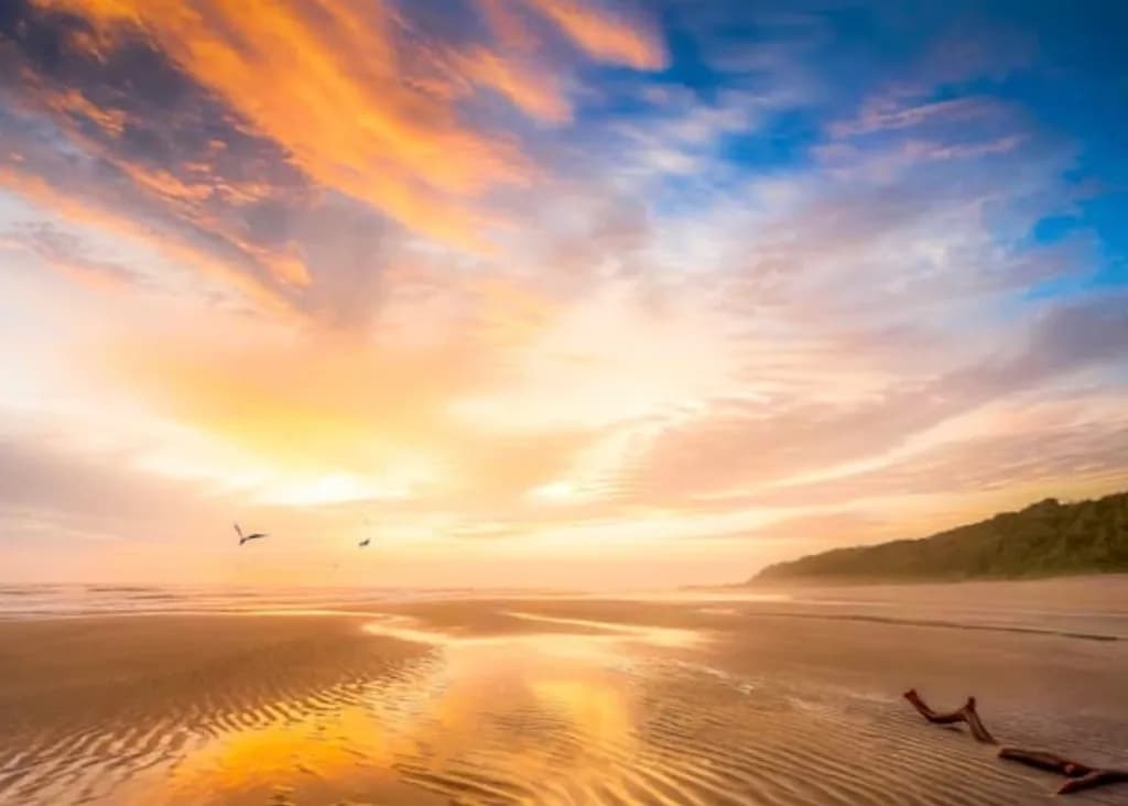Golden Tide Reflection