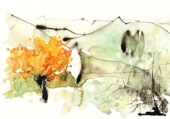 Watercolours ⌖ Provence