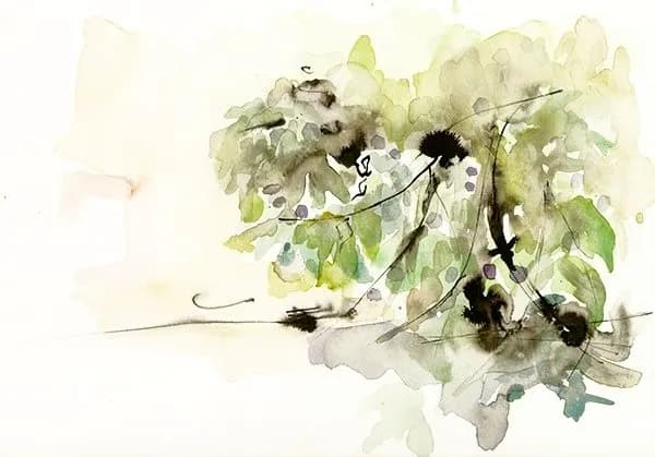Whispers of Nature: A Serene Watercolor Journey Through Organic Forms