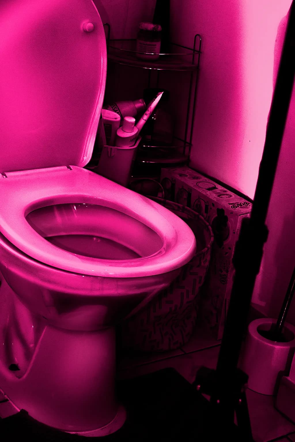 Pinky Toilet Scene