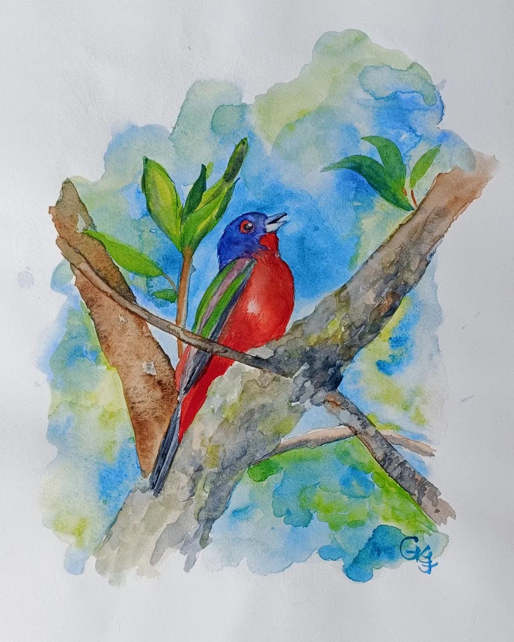 Bold Tune Bird