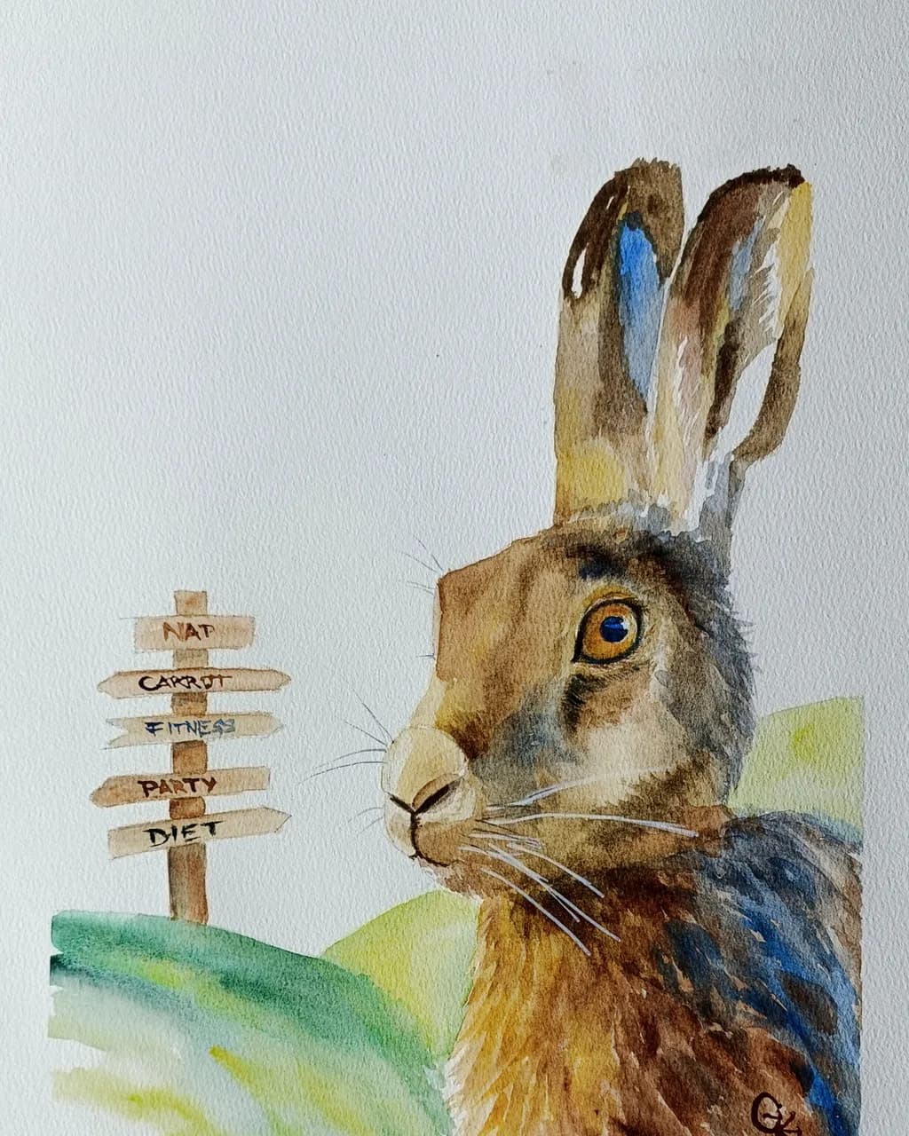 Rabbit Road Choices