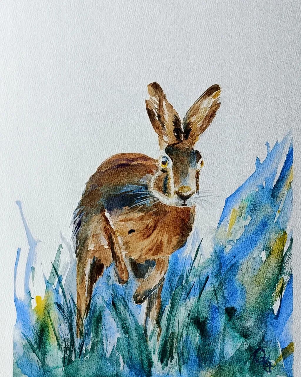 Curious Hare in Grass