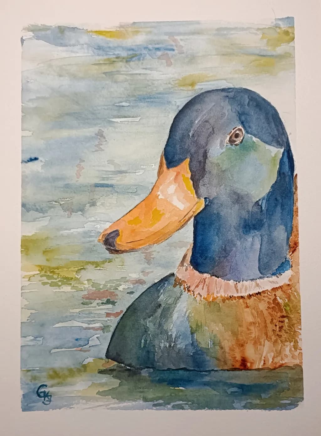 Quirky Mallard Splash