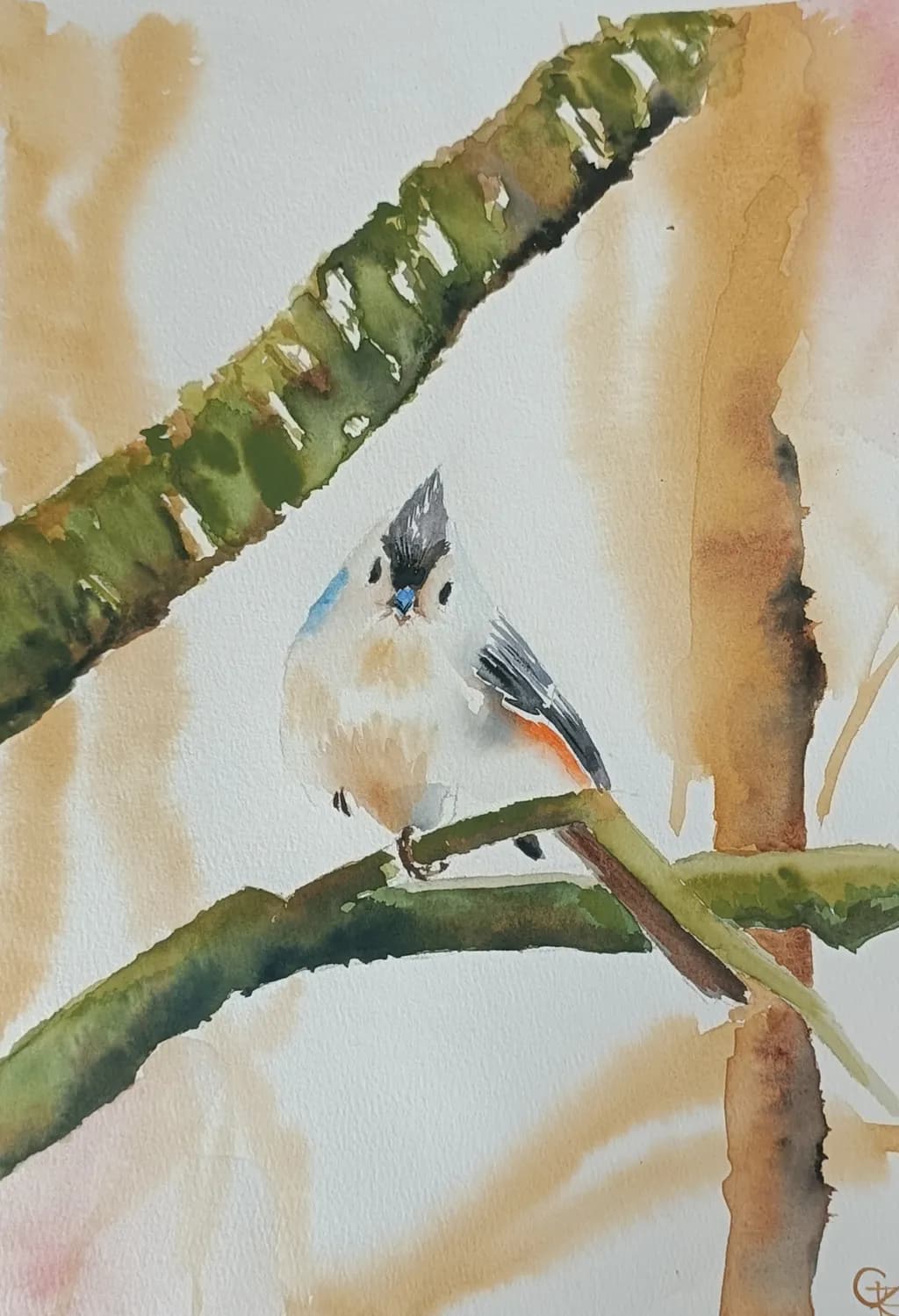 Curious Tufty
