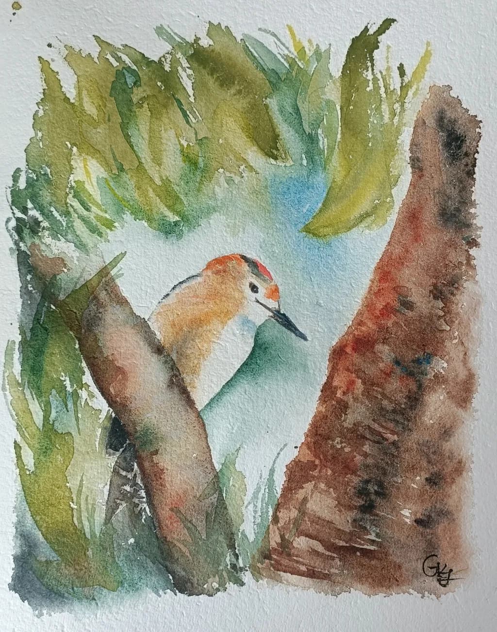 Peek-a-Bird