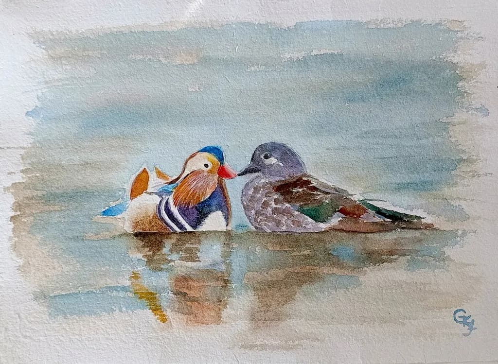 Duck Date Reflection