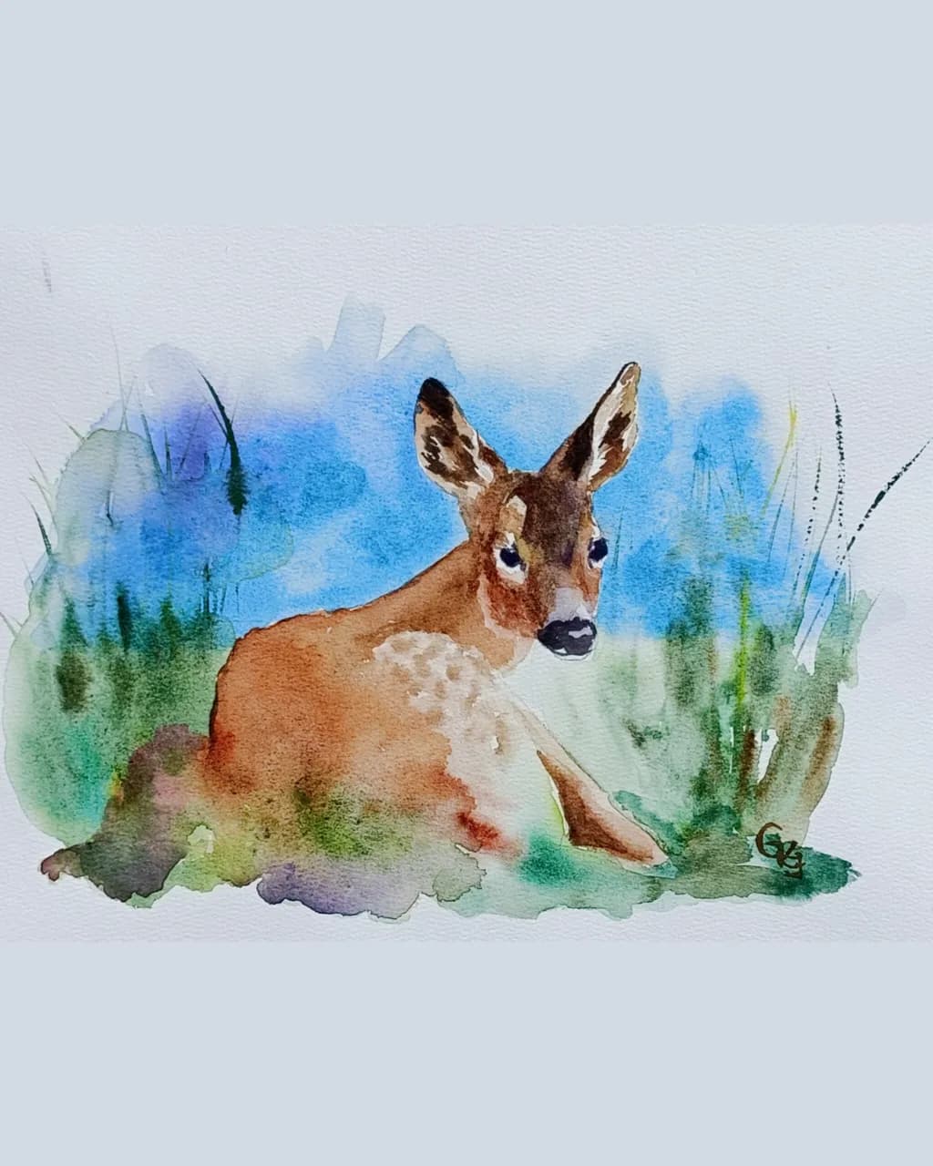 Sunny Spot Fawn