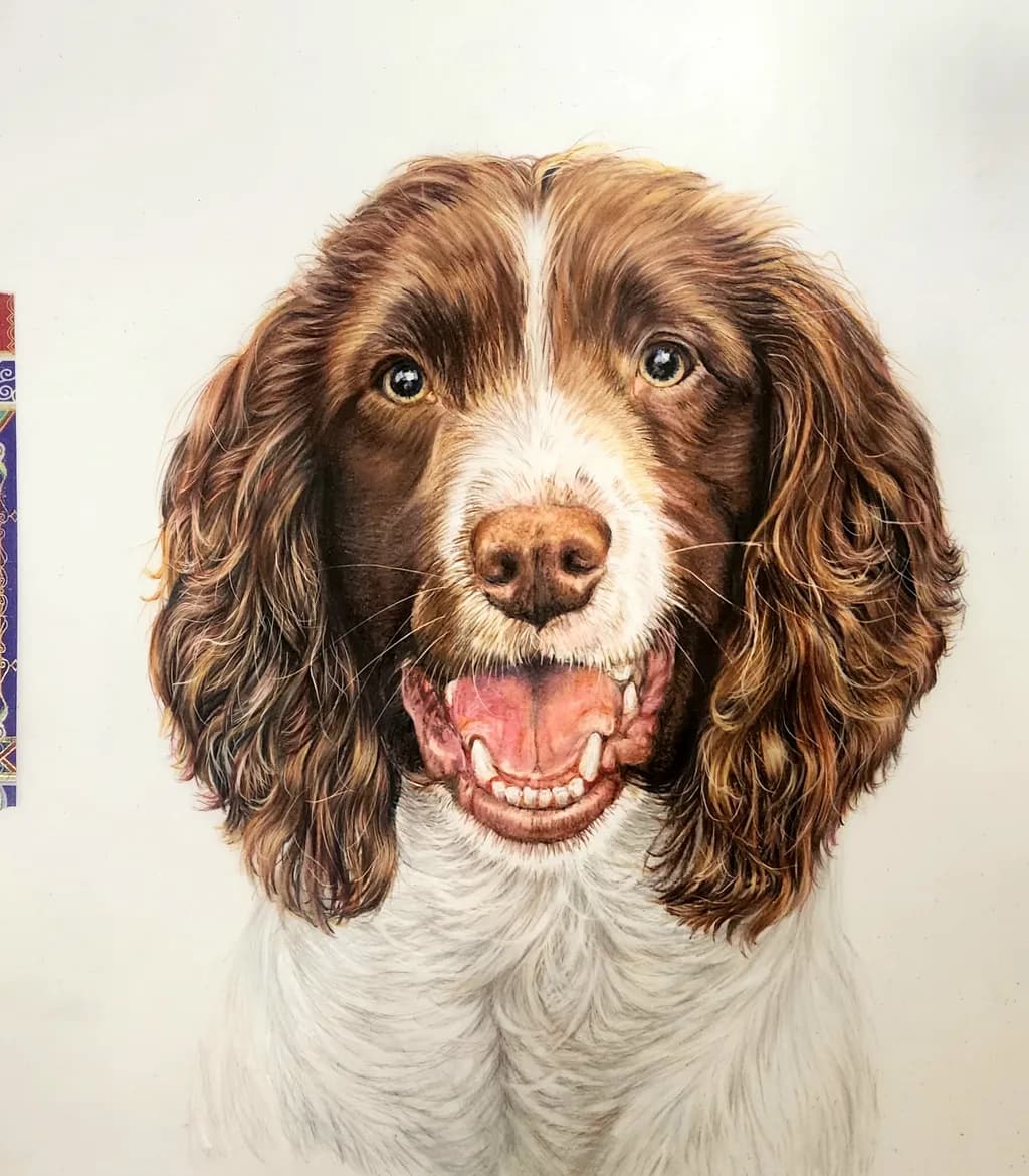 Joyful Pup
