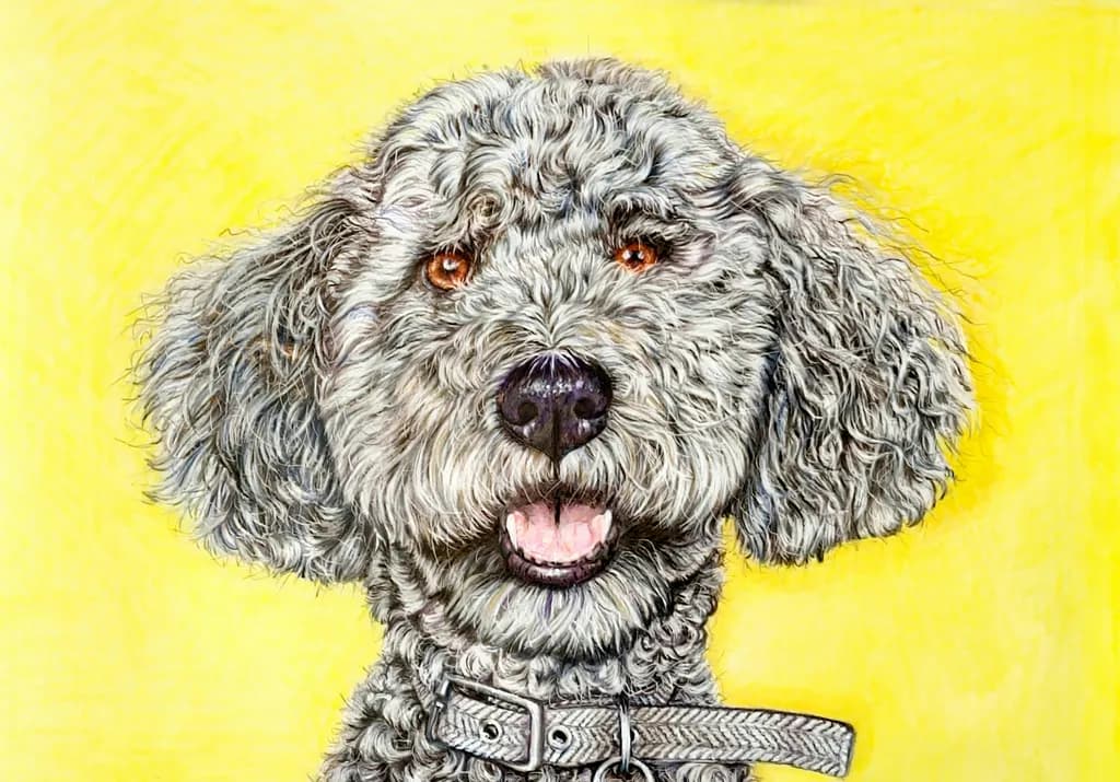 Whiskers and Sunshine: A Playful Portrait of Joyful Companionship